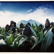 Seeed - List pictures