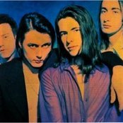 The London Suede - List pictures