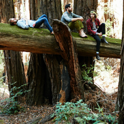 Milo Greene - List pictures