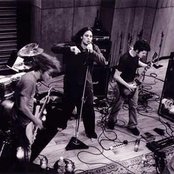 Revis - List pictures