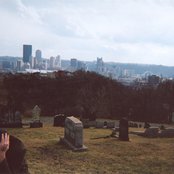 Tobacco - List pictures