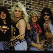 White Lion - List pictures