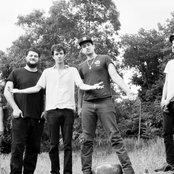 Felice Brothers - List pictures