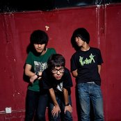 Birdstriking - List pictures