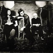 Grant Lee Buffalo - List pictures