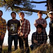 Laurel - List pictures