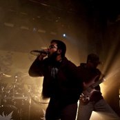 Scribe - List pictures