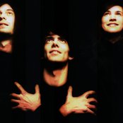 Marvin - List pictures