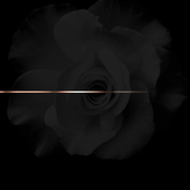 K. Roosevelt - List pictures