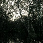 Velnias - List pictures