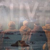 Fauve - List pictures