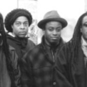 Living Colour - List pictures