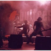 Buitres - List pictures