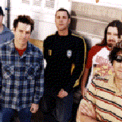 Pulley - List pictures