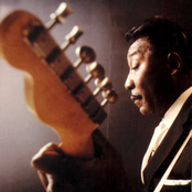 Muddy Waters - List pictures