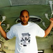 Homeboy Sandman - List pictures