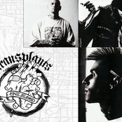 Transplants - List pictures