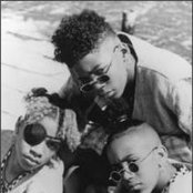 Immature - List pictures