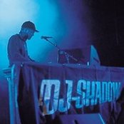 Dj Shadow - List pictures