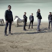 Gossos - List pictures