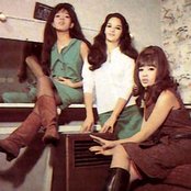 The Ronettes - List pictures