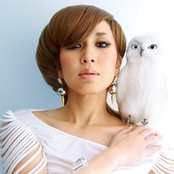 Aria - List pictures