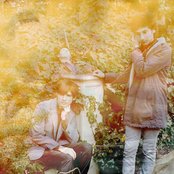 Melted Toys - List pictures