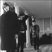 Soft Boys - List pictures
