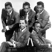 The Contours - List pictures