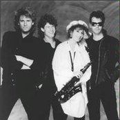 Quarter Flash - List pictures