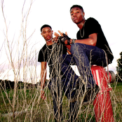 Mirimage - List pictures