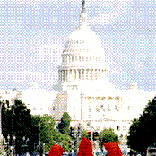 Trans Am - List pictures