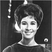 Helen Shapiro - List pictures