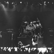 Budgie - List pictures