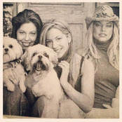 Wild Orchid - List pictures