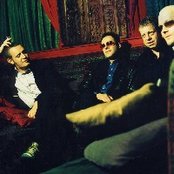 Gene - List pictures