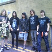 Harlequin - List pictures