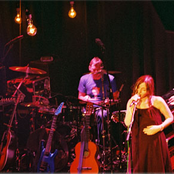 The Cranes - List pictures