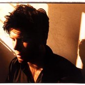 Ed Harcourt - List pictures