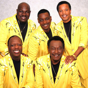 The Spinners - List pictures