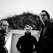 Disillusion - List pictures