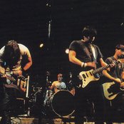 Flower - List pictures