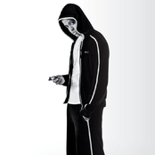 Chipmunk - List pictures