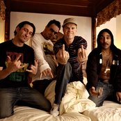 Dog Eat Dog - List pictures