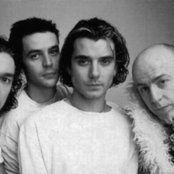 Bush - List pictures