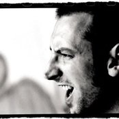 Fink - List pictures