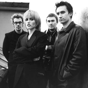 Cranberries - List pictures