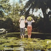 Tigers In The Sky - List pictures