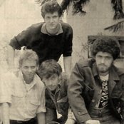 Plebe Rude - List pictures