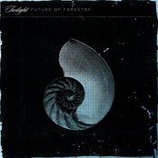 Future Of Forestry - List pictures